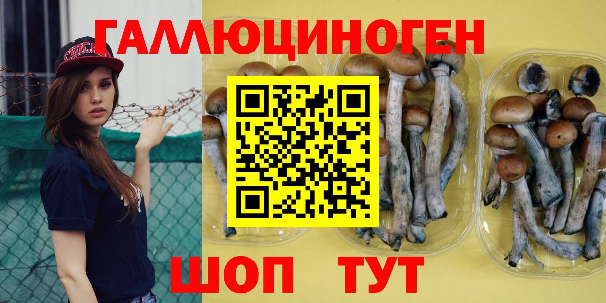 Долгопрудный  Псилоцибиновые грибы прущие грибы  Вход с VPN 